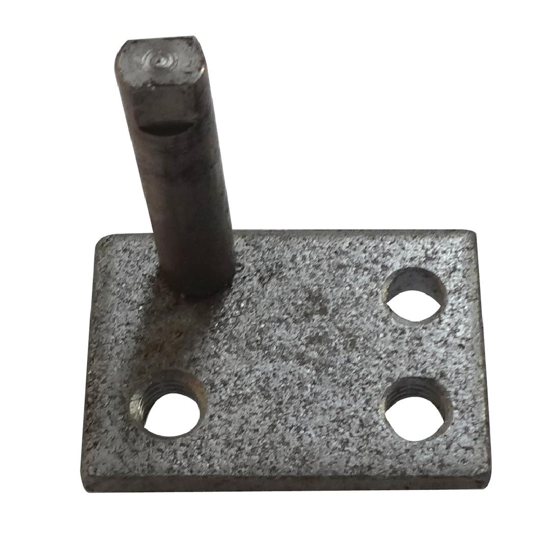 Polar Lower Hinge Axis - AE813 Polar