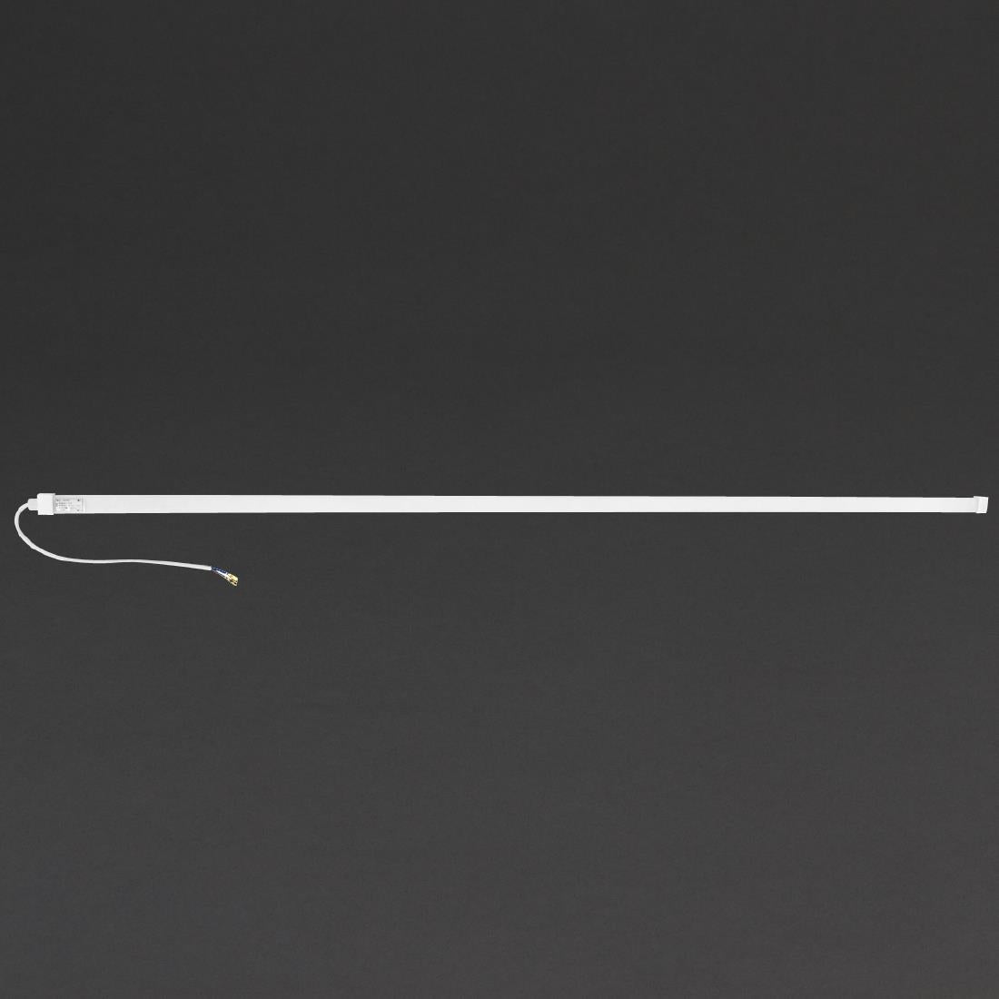 Polar LED Light - AG623 Polar