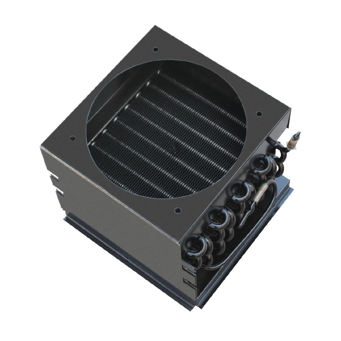 Polar Condenser - AJ799 Polar