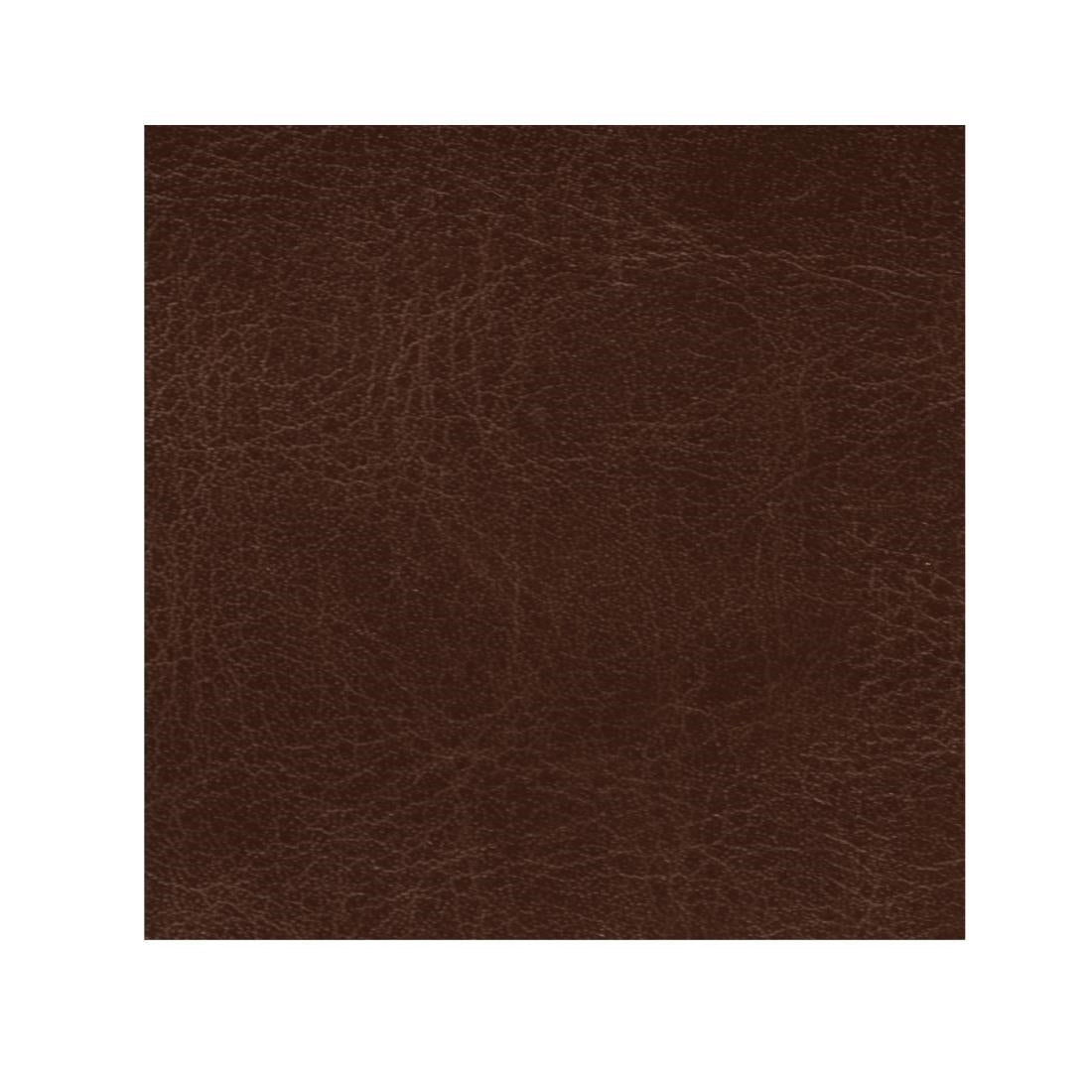 Bolero Antique Tan Faux Leather Swatch - AJ844 Bolero