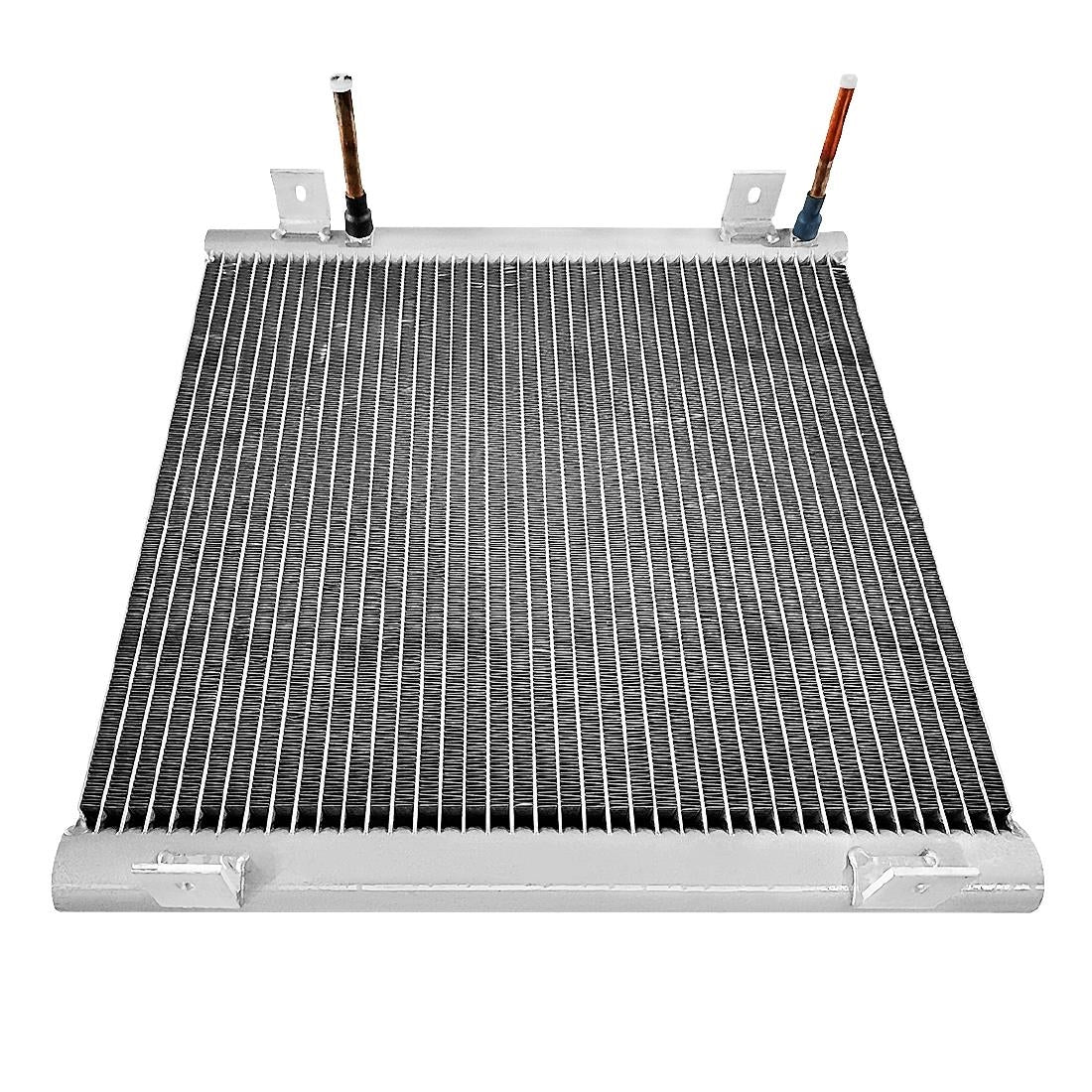 Polar Condenser - AS213 Polar