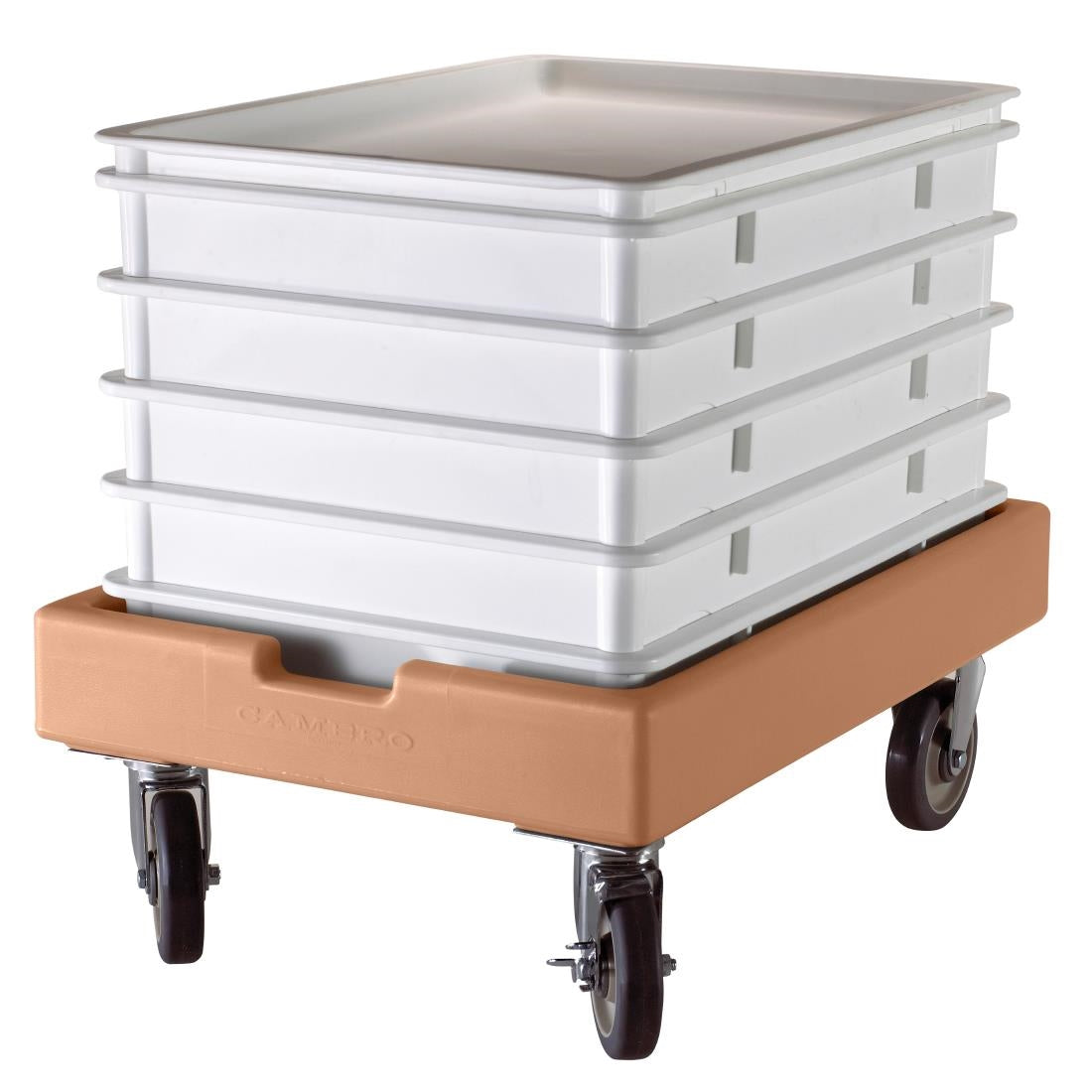 Cambro Pizza Dough Proofing Box - CW800 Cambro