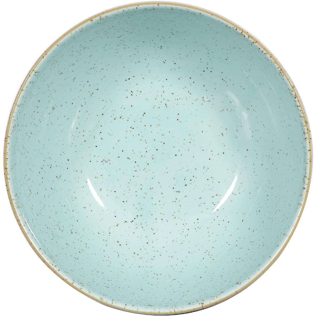 Churchill Stonecast Noodle Bowl Duck Egg Blue 183mm (Pack of 6) - CY736 Bowls Churchill