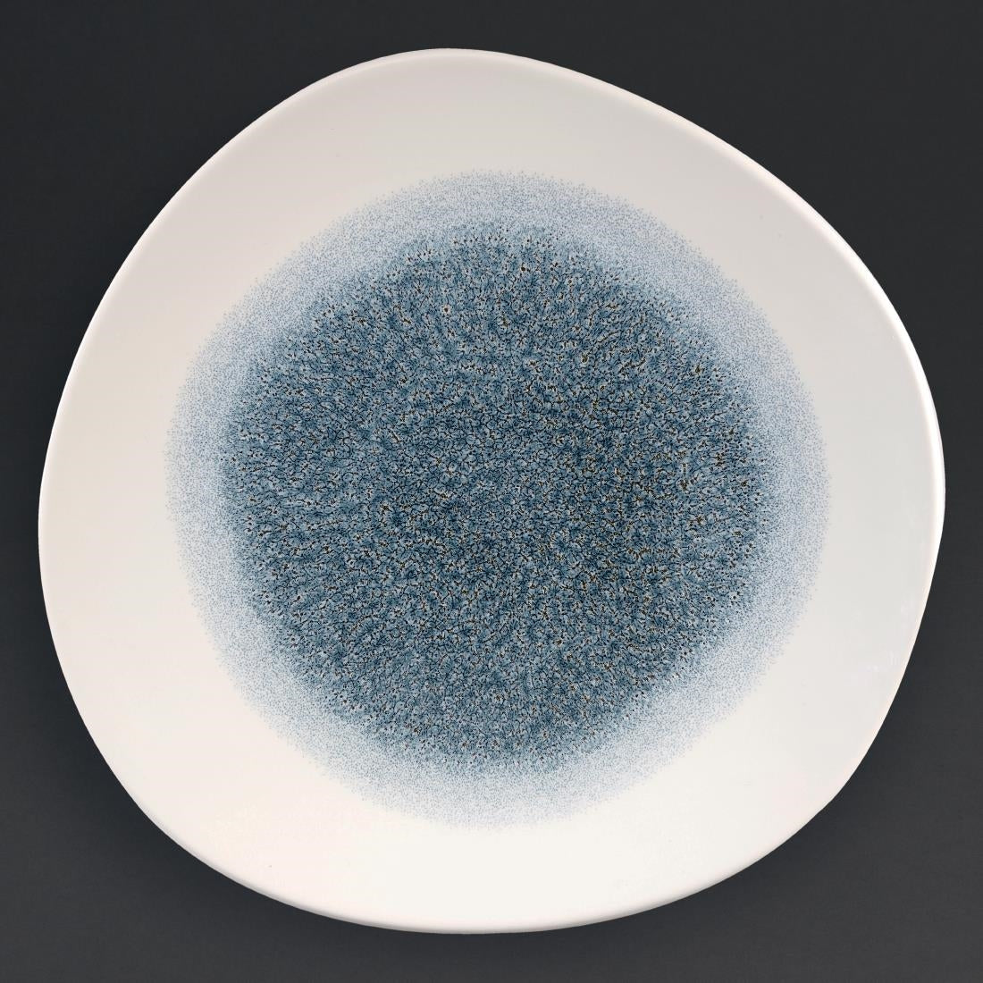 Churchill Studio Prints Raku Round Trace Plates Topaz Blue 264mm (Pack of 12) - DC731 Plates Churchill