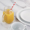 Fiesta Compostable Paper Straws Red Stripes (Pack of 250) - DE927  Fiesta