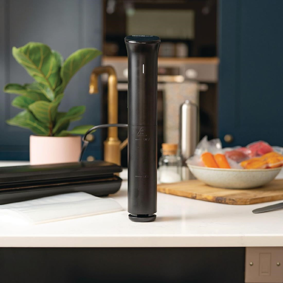 SousVideTools iVide 2 Sous Vide Cooker with WIFI - DH762 Sous Vide Tools