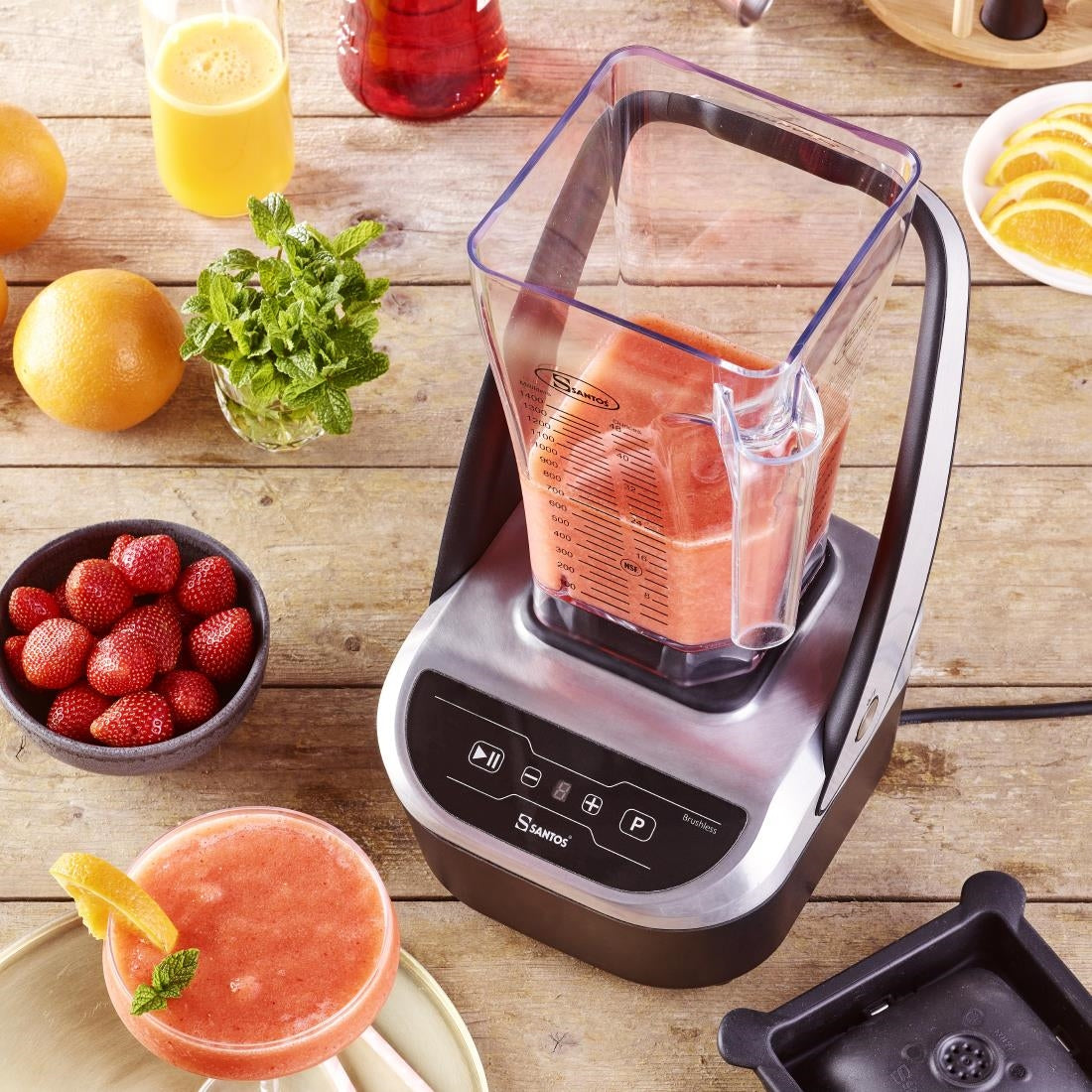 Santos Compact Brushless Blender 66 - DM499 Santos