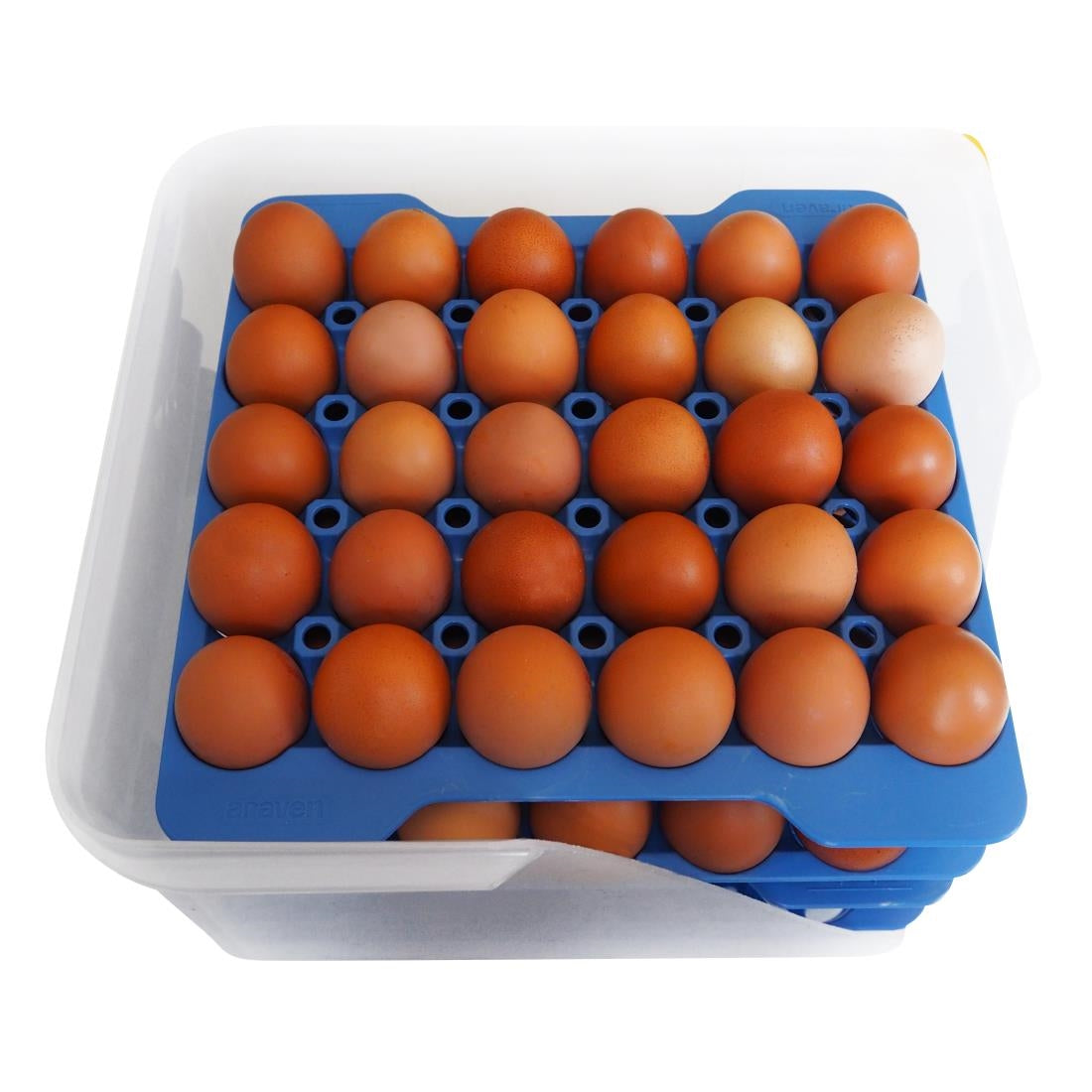 Araven Airtight Container with 4 Egg Trays GN 2/3 200mm - DP209 Araven