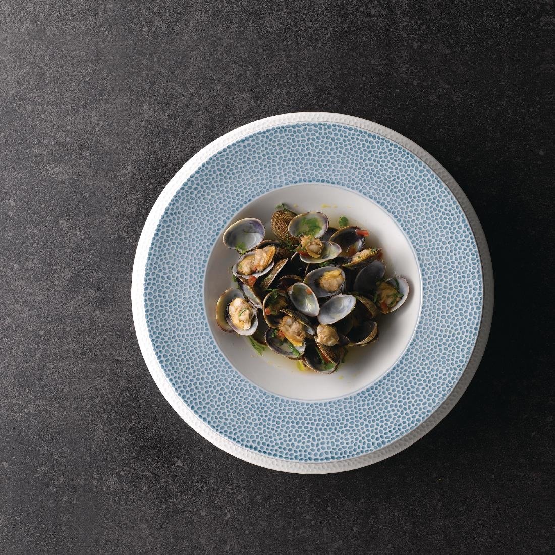 Churchill Isla Wide Rim Bowl Ocean Blue 280mm (Pack of 12) - DY870 Bowls Churchill