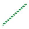 Fiesta Compostable Paper Smoothie Straws Green Stripes (Pack of 250) - FB148  Fiesta
