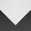 Fiesta Recyclable Lunch Napkin White 30x30cm 1ply 1/4 Fold (Pack of 5000) - FE212  Fiesta