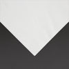 Fiesta Recyclable Lunch Napkin White 33x33cm 2ply 1/4 Fold (Pack of 2000) - FE219  Fiesta