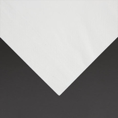 Fiesta Recyclable Lunch Napkin White 33x33cm 2ply 1/4 Fold (Pack of 2000) - FE219  Fiesta