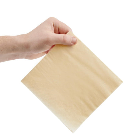Fiesta Recyclable Lunch Napkin Cream 33x33cm 2ply 1/4 Fold (Pack of 2000) - FE220  Fiesta