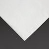 Fiesta Recyclable Dinner Napkin White 40x40cm 2ply 1/4 Fold (Pack of 2000) - FE235  Fiesta