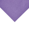 Fiesta Recyclable Dinner Napkin Plum 40x40cm 2ply 1/8 Fold (Pack of 2000) - FE248  Fiesta