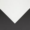 Fiesta Recyclable Premium Tablin Cocktail Napkin White 24x24cm Airlaid 1/4 Fold (Pk 2400) - FE262  Fiesta