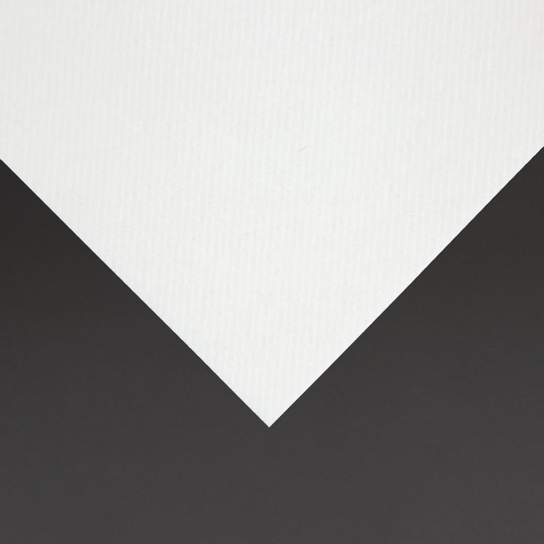 Fiesta Recyclable Premium Tablin Cocktail Napkin White 24x24cm Airlaid 1/4 Fold (Pk 2400) - FE262  Fiesta