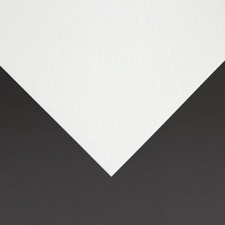 Fiesta Recyclable Premium Tablin Cocktail Napkin White 24x24cm Airlaid 1/4 Fold (Pk 2400) - FE262  Fiesta