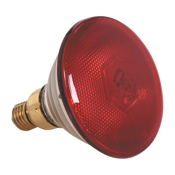 Pujadas Red Bulb 250W - FU891 Pujadas