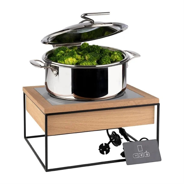 APS Induction Station 354x325x190mm | JB689 Induction Hobs APS