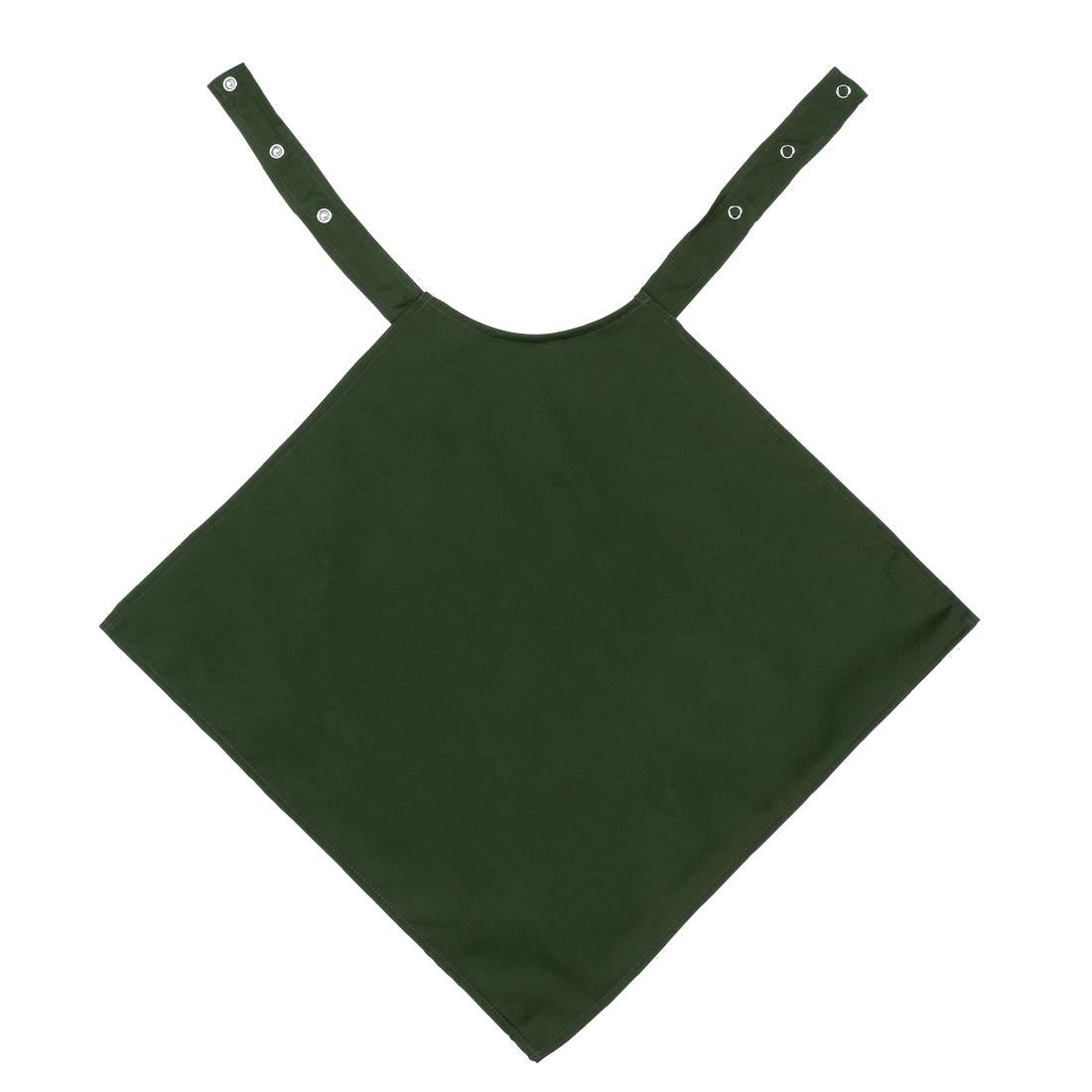 Napkin Style Dignified Adult Clothing Protector - Green - 45x45cm - MSP0253 Non Branded