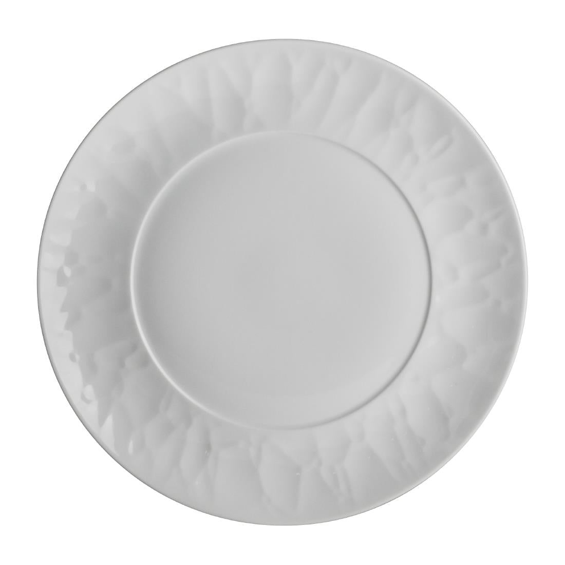 Steelite Atelier Plates 241mm (Pack of 24) - VV3736 Plates Steelite