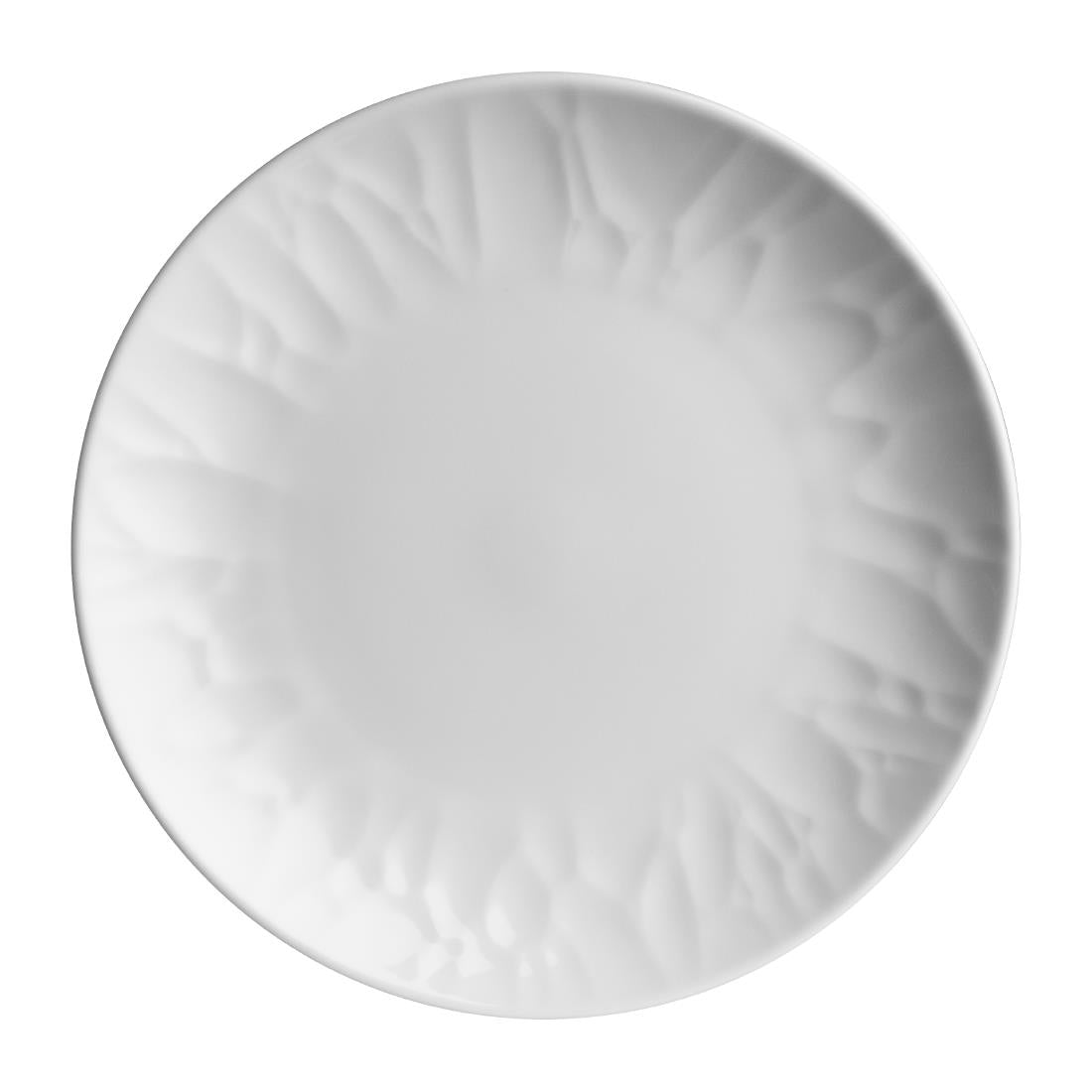 Steelite Atelier Coupe Plates 270mm (Pack of 12) - VV3739 Plates Steelite