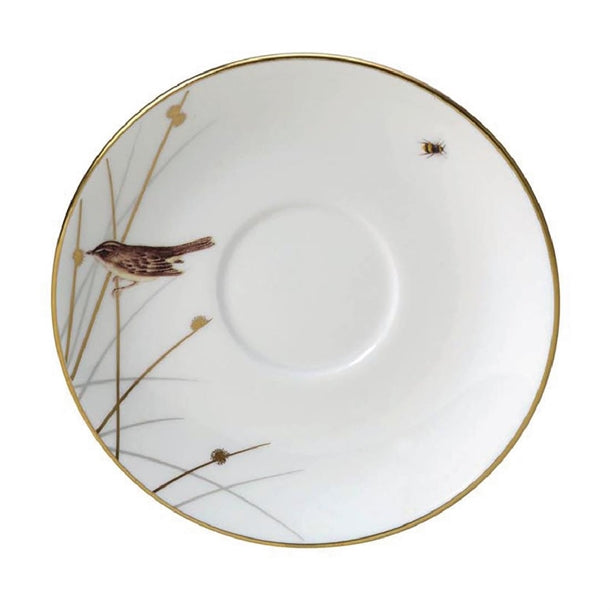 William Edwards Reed Espresso Saucer Classic 120mm Fits AND0145 (Pack of 12) - VV3927 William Edwards Fine Bone Chin Steelite