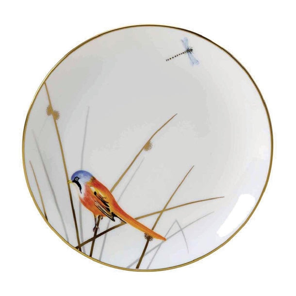 William Edwards Reed Plate Coupe 165 (Pack of 12) - VV3939 Plates Steelite