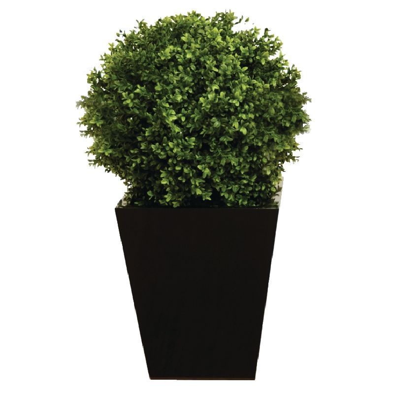 Artificial Topiary Boxwood Ball 500mm - CD162 Artificial Plants Bolero
