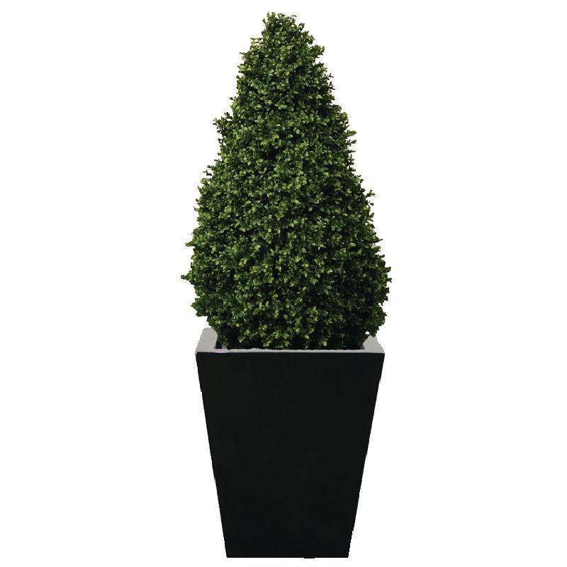 Artificial Topiary Buxus Pyramid 1200mm - CD160 Artificial Plants Bolero