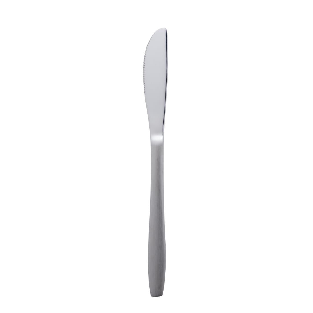 Amefa Amsterdam Table Knife (Pack of 12) - DM223 Table Knives Amefa