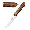 Tramontina Jumbo Steak Knives (Pack of 4) - GE994  Tramontina   