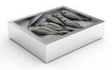 Combisteel Crushed Ice Bin 2/1 GN - 7013.2705 Combisteel Accessories & Spare Parts Combisteel   