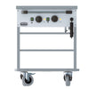 Combisteel Mobile Bain Marie 2 x 1/1 GN Heated Electric Servery | 7178.1155 Bain Maries Combisteel