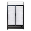 Empire Double Door Display Cooler Hinged – Commercial Fridge with Merchandising Canopy | CL-690A Upright Double Glass Door Chillers Empire
