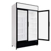 Empire Double Door Display Cooler Hinged – Commercial Fridge with Merchandising Canopy | CL-690A Upright Double Glass Door Chillers Empire