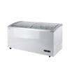 Prodis Curved Glass Display Freezer 546L | NVC5 Display Chest Freezers Prodis
