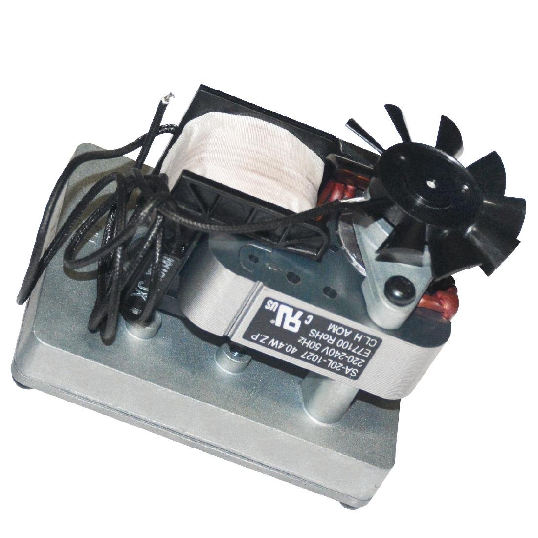 Buffalo Motor - AA017  Buffalo   