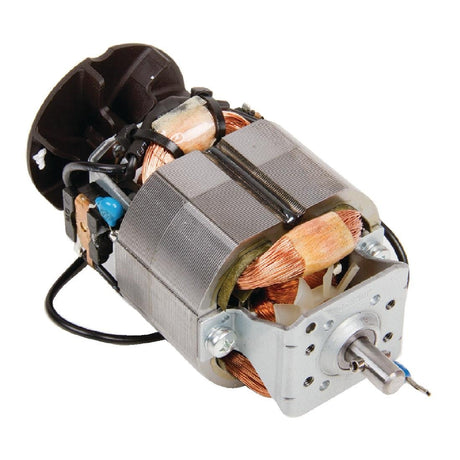 230v Motor - AB749  Dynamic   