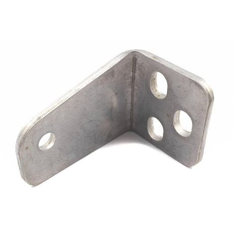 Bottom Left Hinge - AB899  Polar   