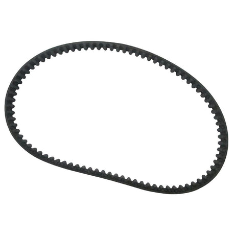 Buffalo Belt - AF929  Buffalo   