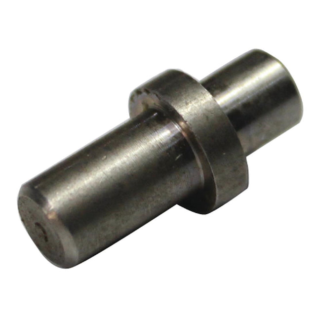 Buffalo Door Pin - AF948  Buffalo   