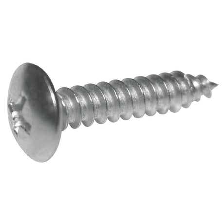 Buffalo Stainless Steel Screws - AG161  Buffalo   