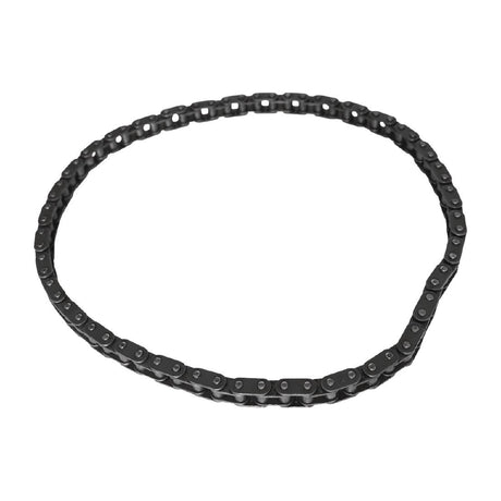 Buffalo Chain - AJ054  Buffalo   