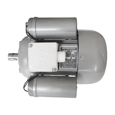 Buffalo Motor - AJ059  Buffalo   