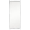Polar Complete Glass Door - AK866  Polar   