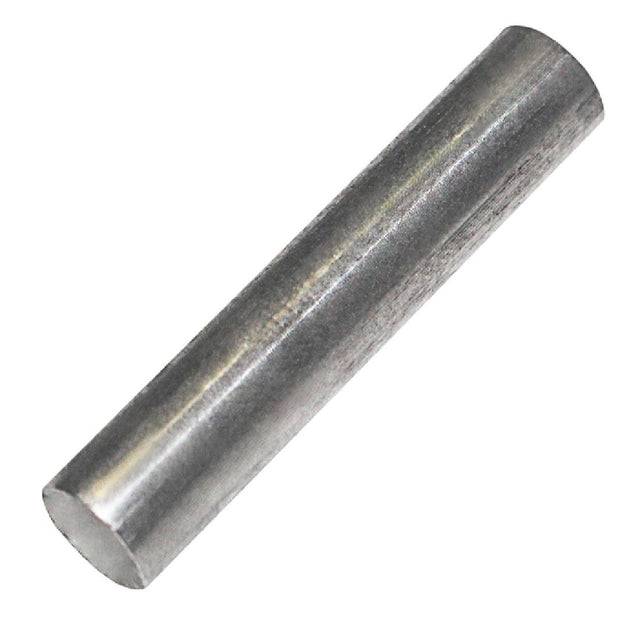 Polar Lower Door Shaft Pin - AK928  Polar   
