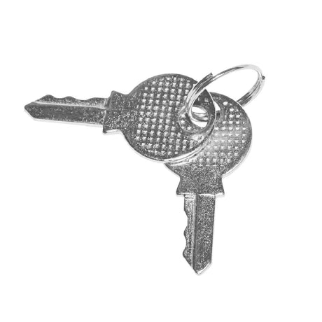 Polar Key - AL055  Polar   